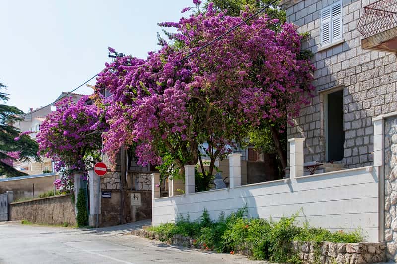 Во сколько обойдётся хорватский шенген