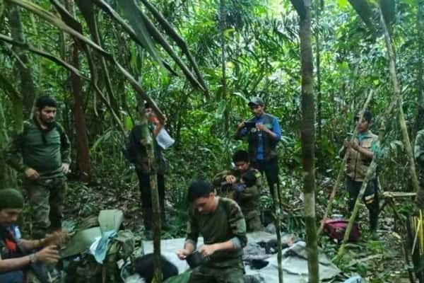 В джунглях Колумбии нашли детей, пропавших больше месяца назад после авиакрушения