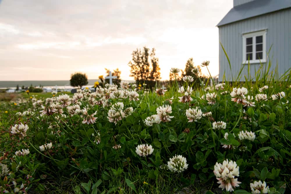 Дачникам напомнили, в каких случаях потребуется согласие соседей
