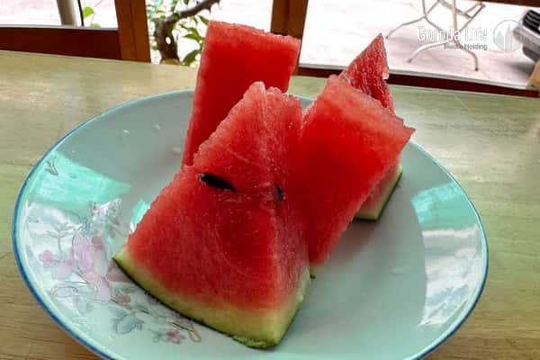 Арбуз или дыня: врач рассказал, чем плоды отличаются по составу и сколько за день можно съесть