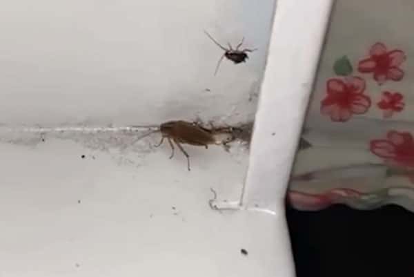 «У меня сложилось впечатление, что я побывала в аду, я не спала три ночи»