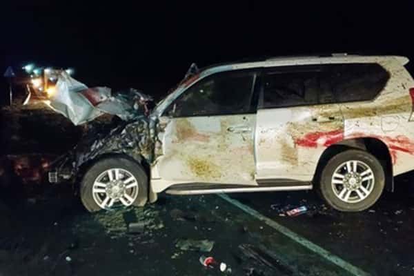 В Оренбургской области водитель внедорожника врезался в табун, погибли 14 лошадей