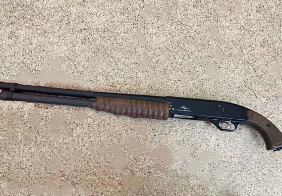 Стрельба в брянской гимназии: нападавшая взяла охотничий дробовик отца и пронесла его в тубусе