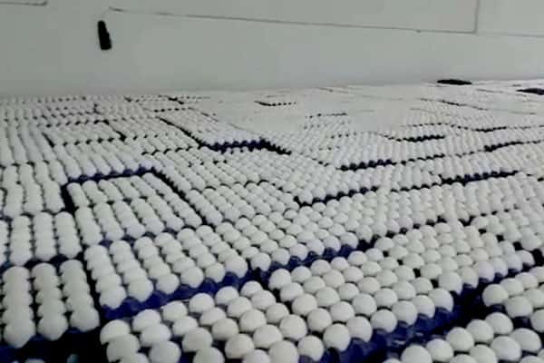 Поставщики показали яйца партнеров из Турции