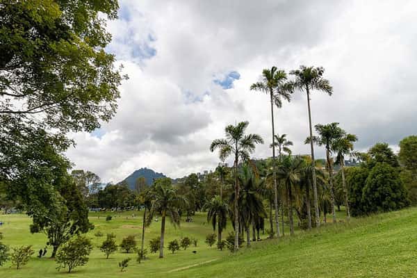 Пропавший российский путешественник вызывает тревогу: в поисках приключений в опасных джунглях Колумбии