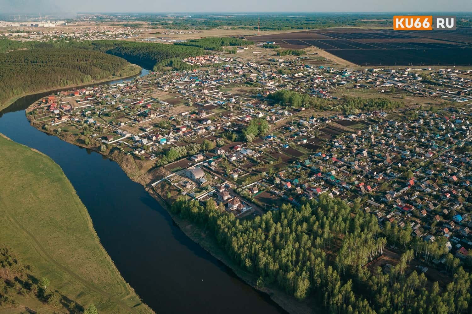 В Госдуме напомнили, что безалаберных дачников будут карать за разросшийся на участке борщевик