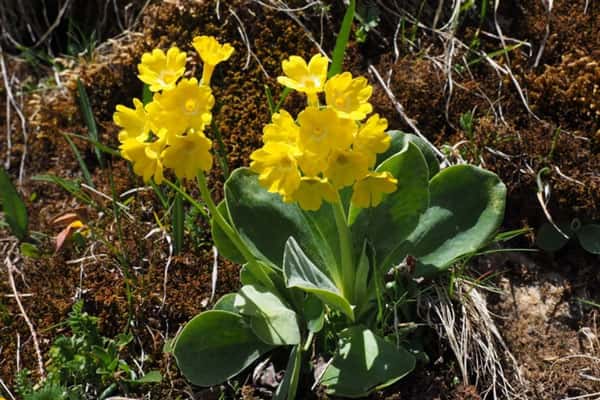 Шувалов: рекорд тепла в начале апреля не значит, что летом будет аномальная жара