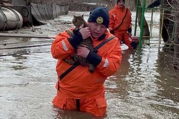 В Алтайском крае сотрудники МЧС на руках выносили из зоны паводка людей и зверей
