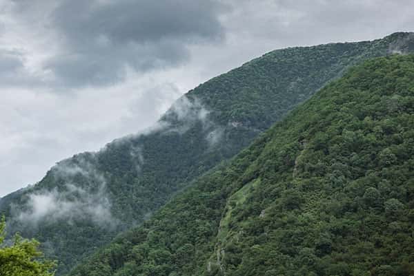 МЧС Абхазии: российская туристка умерла в Гагре, сорвавшись со скалы