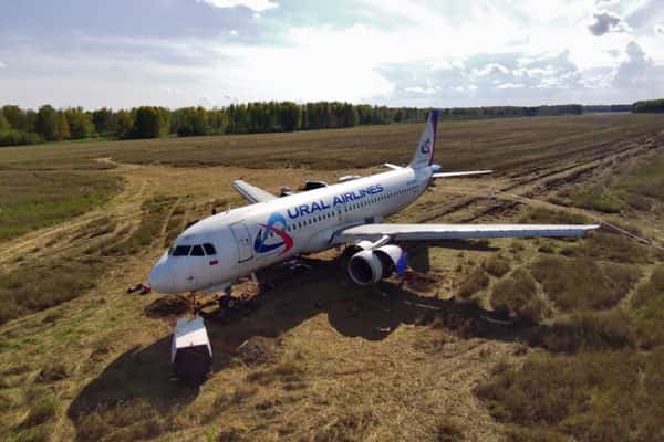 Росавиация попросила уволить директоров Ural Airlines из-за посадки борта в поле