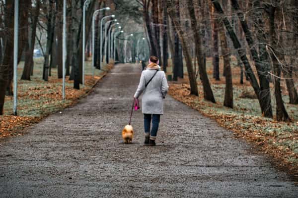 Ученые выяснили, что проживание вблизи скверов снижает риск деменции