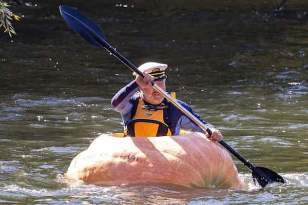 Гигантская тыква Тормунд: от любимицы фермера до интересного каноэ