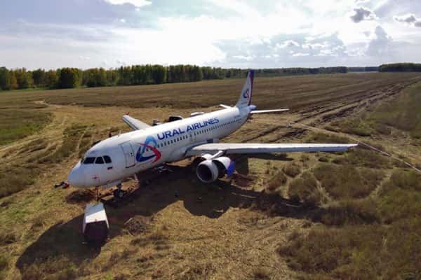Посадивший самолет в поле пилот «Уральских авиалиний» стал таксистом
