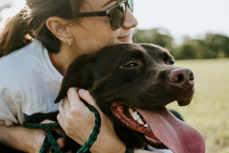 Ученые рассказали о методах омоложения старых собак