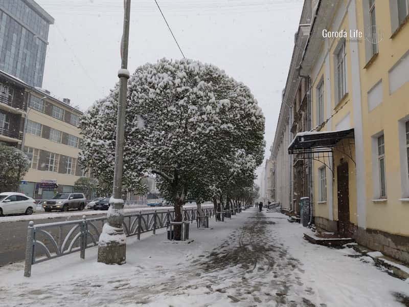 «Сугробы по колено»: на Кубани прошёл снегопад