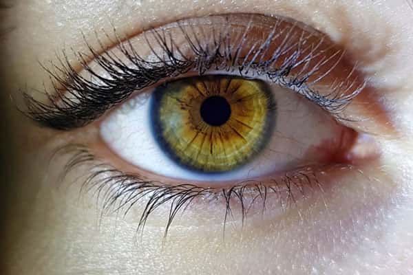 Почему использование чайных заварок для глаз — не лучшая практика: советы врача-офтальмолога