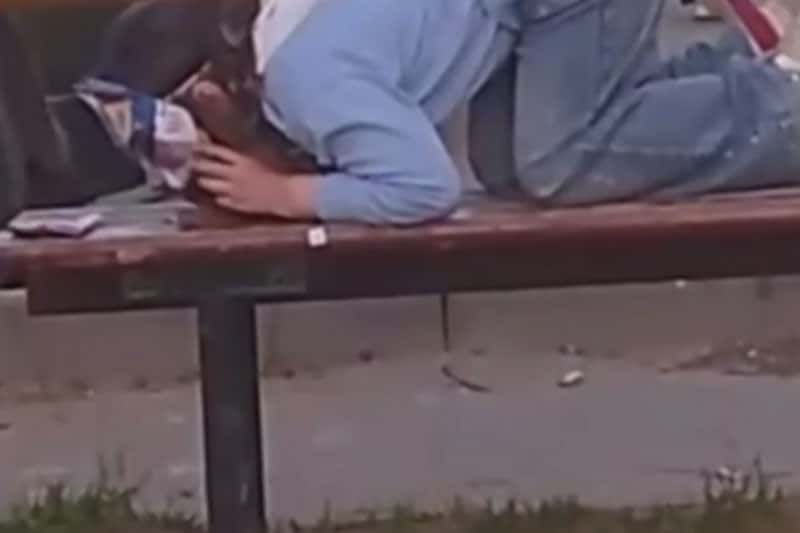 В Кстово девушка-квадробер в маске кошки съела корм со скамейки на улице