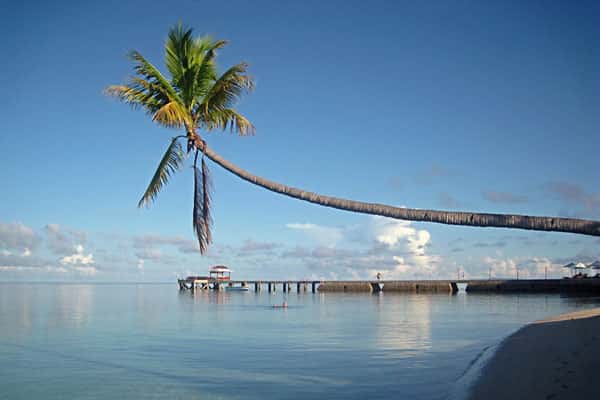 Стал известен диагноз россиян, заразившихся на Бали загадочной болезнью