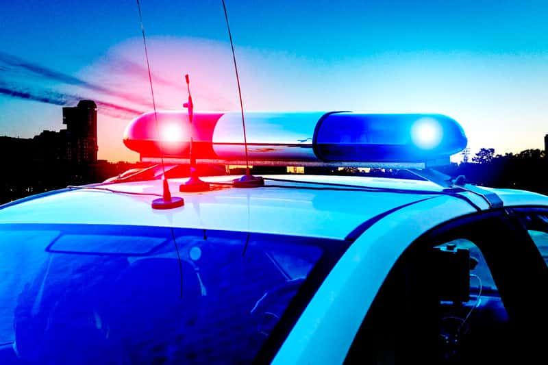 Жуткий скандал в Казахстане: детей кормили мясом кошек и собак, приемные родители истязали