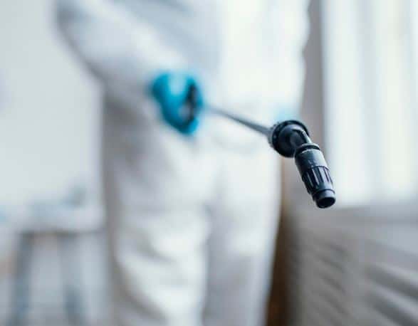 Бактерия убийца: стрептококк группы А вызывает эпидемию смертоносного синдрома в Японии