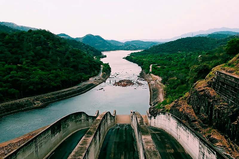 Шри-Ланка отменит визовый режим для россиян с 1 октября