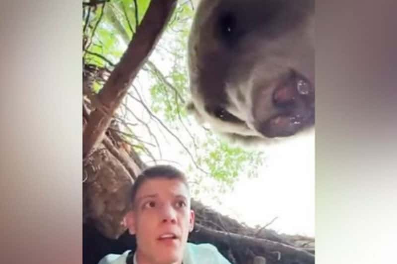Блогер залез в берлогу к медведю и оказался в ловушке