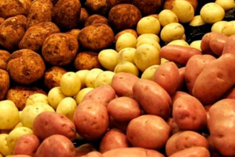 Диетолог назвала продукты, которые нужно есть осенью для здоровья