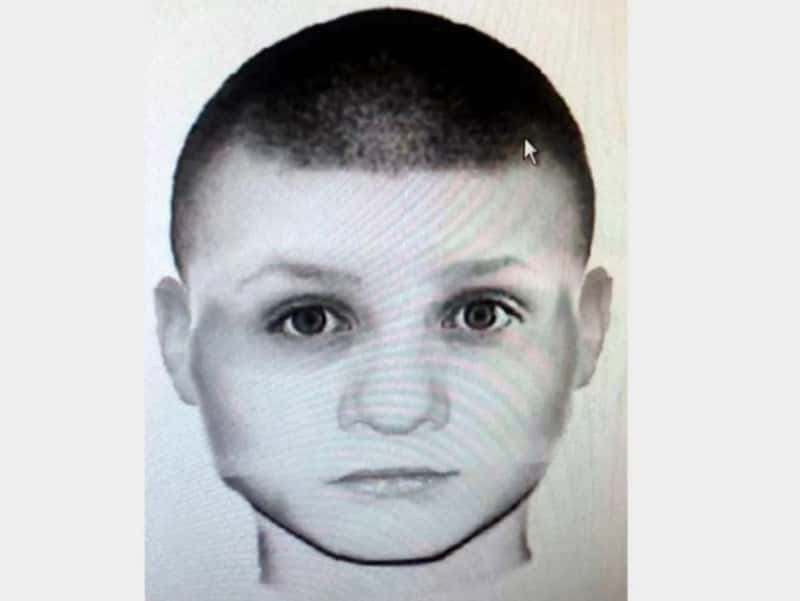 Похититель кенгурят: кто и зачем украл три детеныша из российских зоопарков