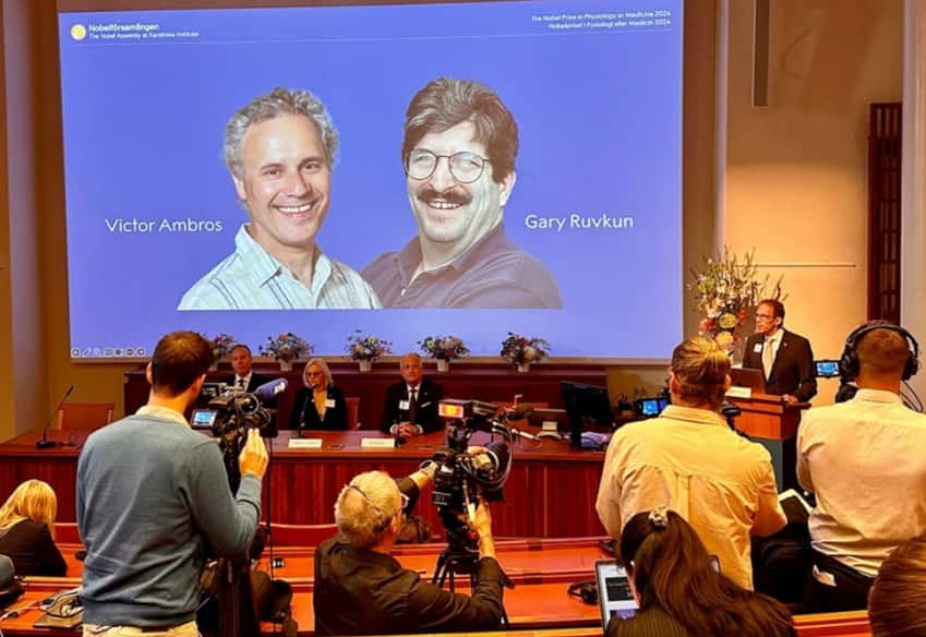 Открыли молекулы микроРНК: нобелевскую премию по медицине вручат двум американцам