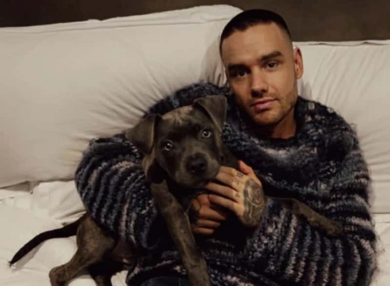 Разбился, упав с балкона: умер экс-солист группы One Direction Лиам Пейн