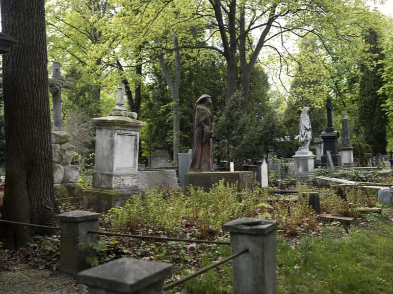 Спецтехника на кладбище: юридические нюансы