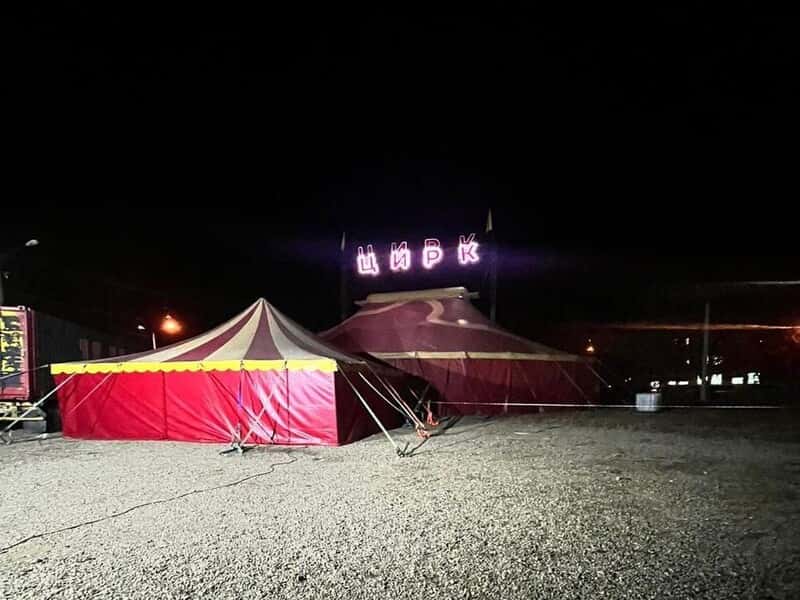 Цирковая пантера напала на трехлетнего ребенка в Иркутской области