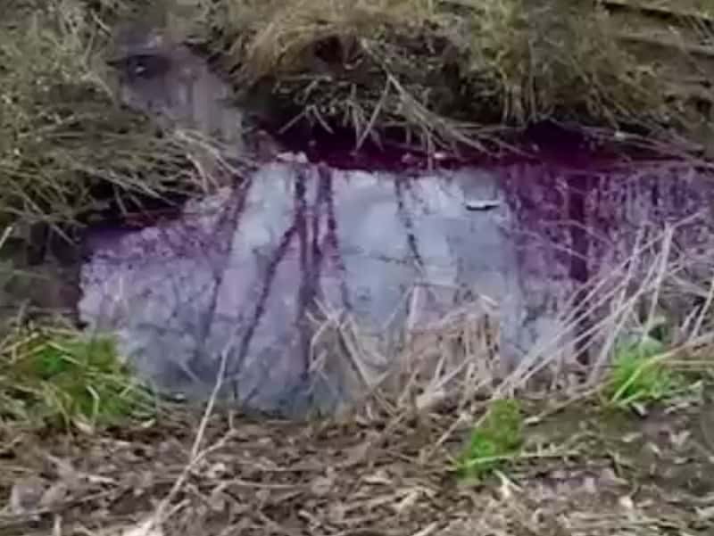 Озеро борща: улицы Златоуста утопают в свекольном бульоне. Видео