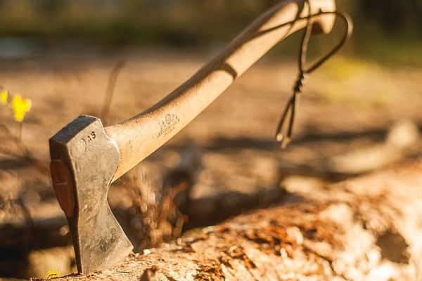 В Подмосковье школьник зарубил свою мать топором из-за оценок в школе