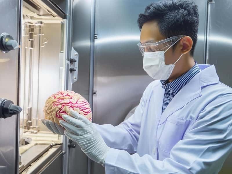 Найдена ягода, которая поможет излечить рак 