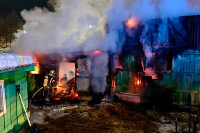 Десятки животных сгорели заживо на Колыме