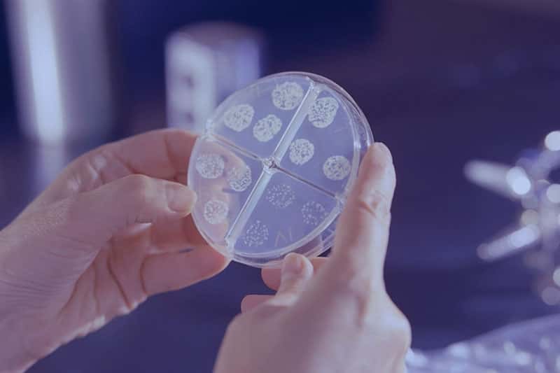 Учёные предупреждают о возможности воздушно-капельного распространения оспы обезьян