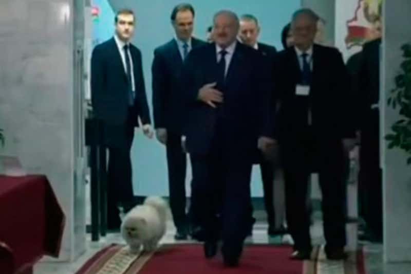 "'Это просто случайность!" — как Лукашенко с четвероногим другом стал звездой выборов в Минске. Видео