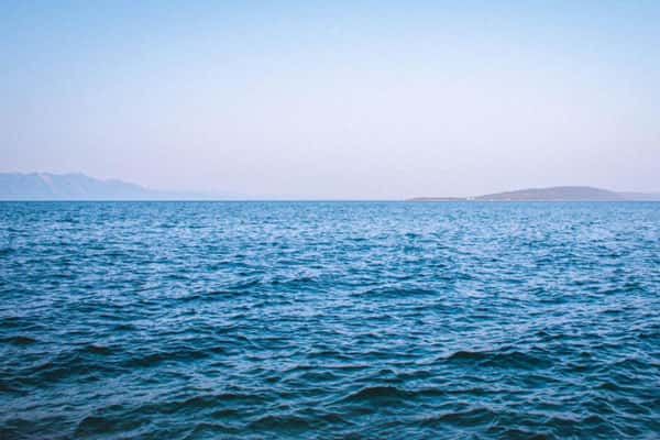 Тела 40 человек достали из воды после крушения самолета в США 