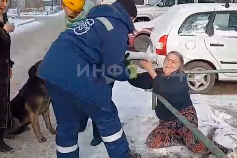 «Не забирайте Найду!»: как пенсионерка пыталась спасти собаку от отлова в Красноярске