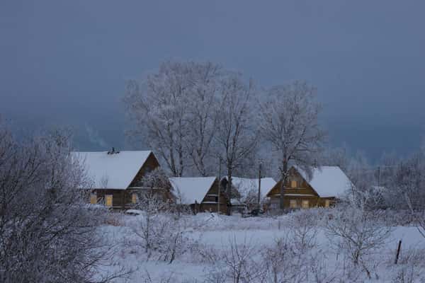 Новые правила освоения земель: "Если ничего не делаете, рискуете потерять участок"