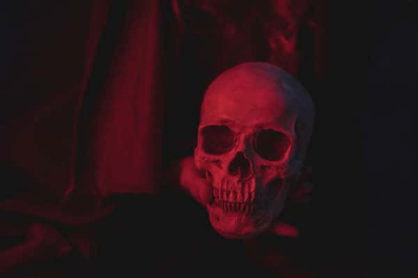 В петербургской помойке нашли пакет с частью черепа