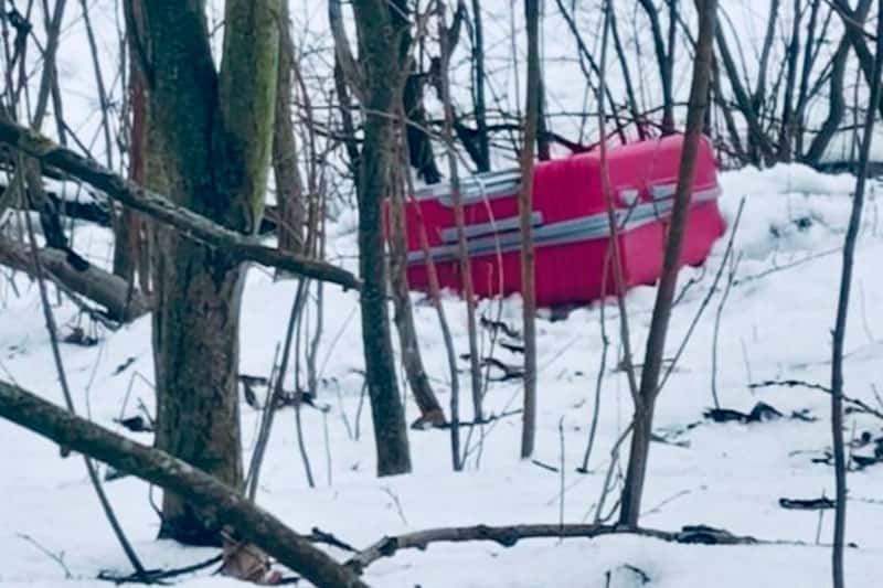 Морж нашёл два чемодана с человеческим останками на улице в Санкт-Петербурге