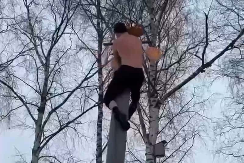 В Ленобласти столб с мужчиной упал на людей во время масленичных гуляний