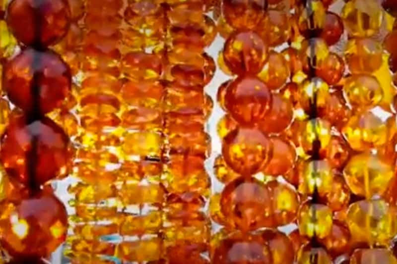 Уникальное открытие: немецкие биологи нашли яйцо бабочки в янтаре под Калининградом – «Это новый род и вид!»