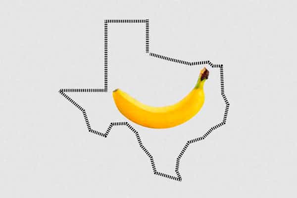 Сенатор Техаса вводит новый закон: "Вибраторы только для массажа спины, а анальные пробки — для укрепления прямой кишки"