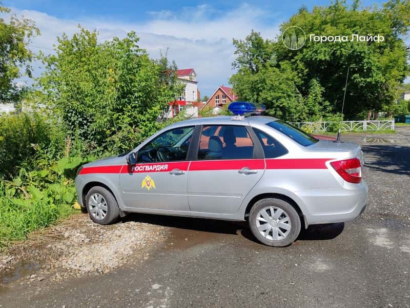 «Не помню, как за руль сел!» - Неудачный угон служебного автомобиля Росгвардии в Москве