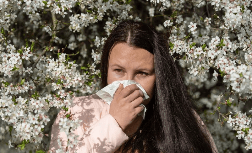 Врач назвала опасные для сезонных аллергиков продукты и растения