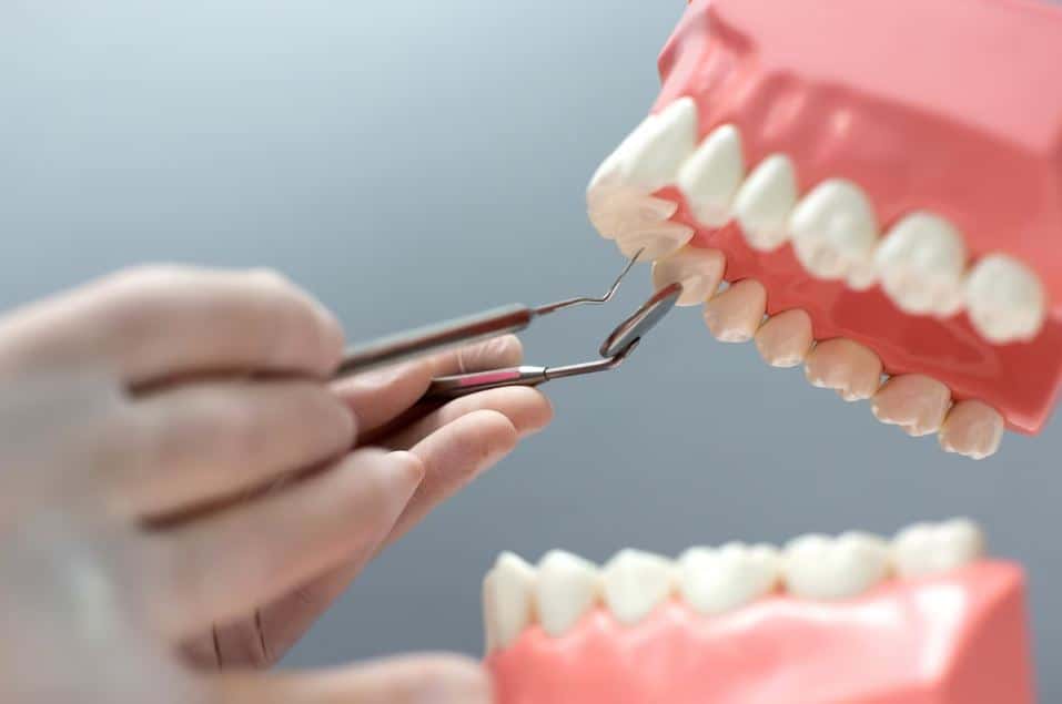 Британские ученые впервые вырастили человеческие зубы в лаборатории