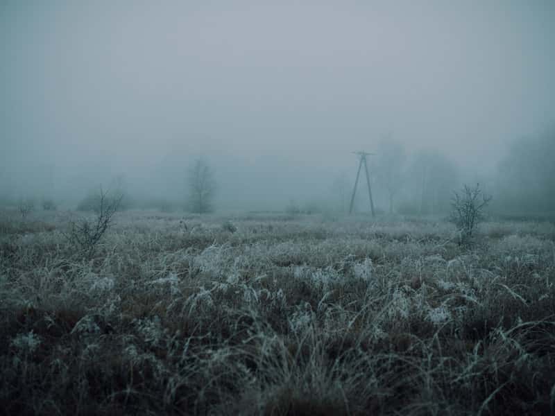 Рекордные заморозки в Подмосковье: Можайск и Клин обновили температурные минимумы
